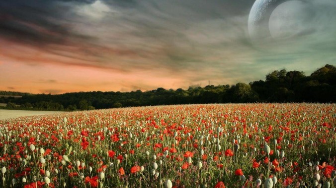 全班 43 人开家长会只来了 7 位爸爸，学校称未来准备策划爸爸家长会，如何看待这一现象？